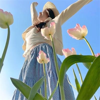 恐龙战队第四季